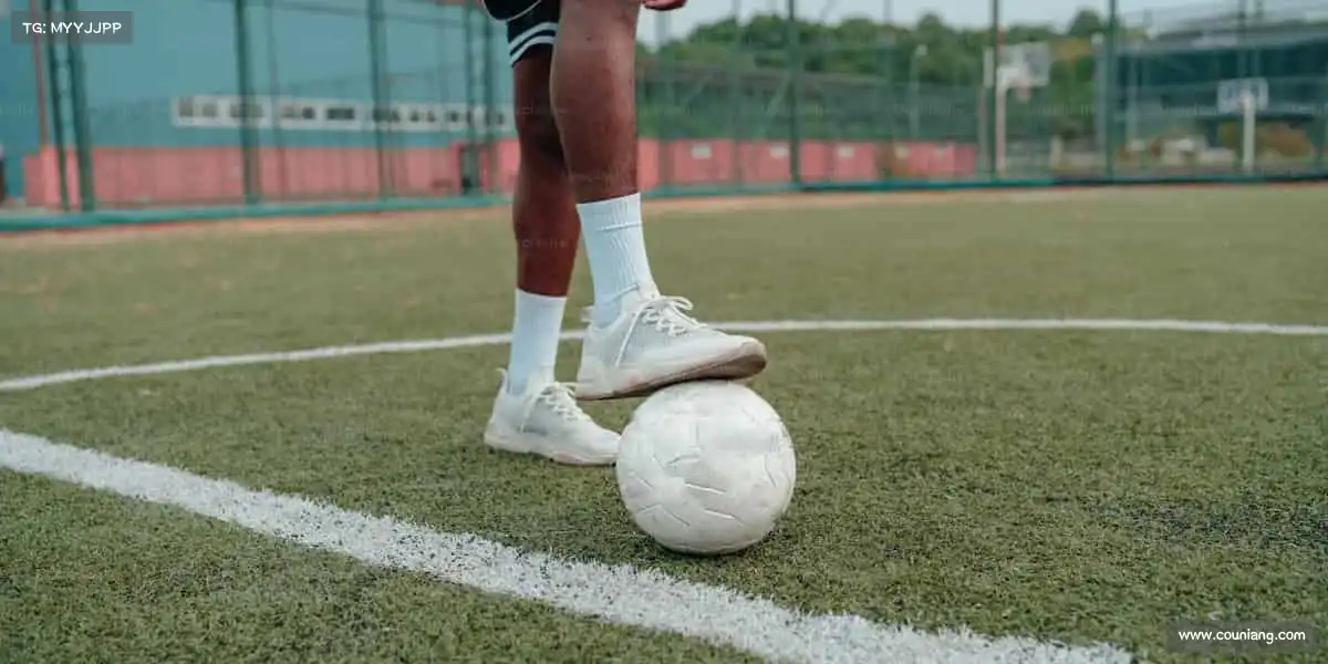 行业领先的理由